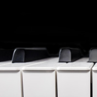 domain search keyboard key